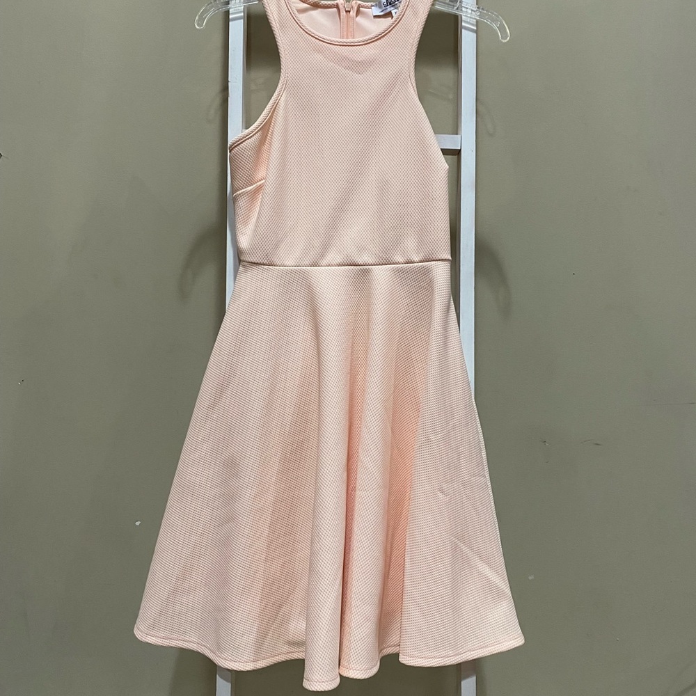 Lulu’s Blush Pink Sleeveless Fit & Flare Dress- size XS-147